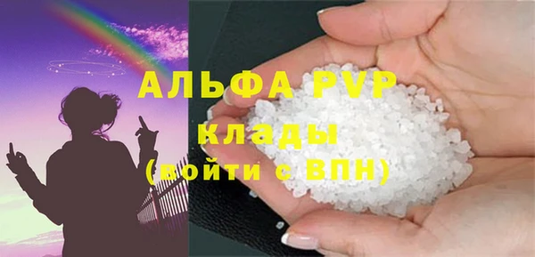 шишки Болотное