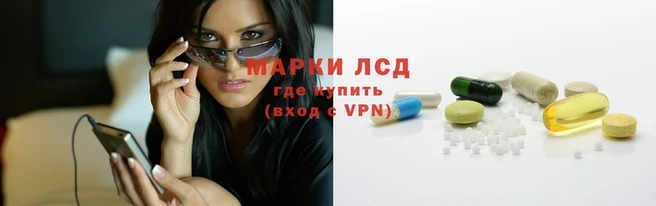 СК Михайловск
