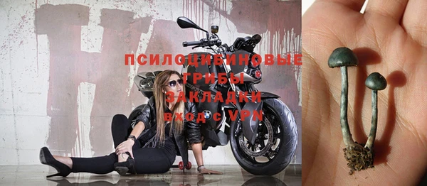 прущий лед Михайловка