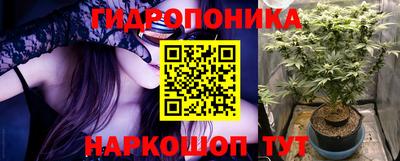 каннабис Аргун