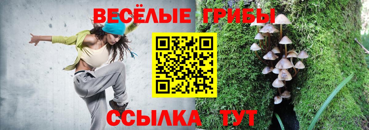 Галлюциногенные грибы Magic Shrooms  как найти закладки  Изобильный  Галлюциногенные грибы ЛСД 