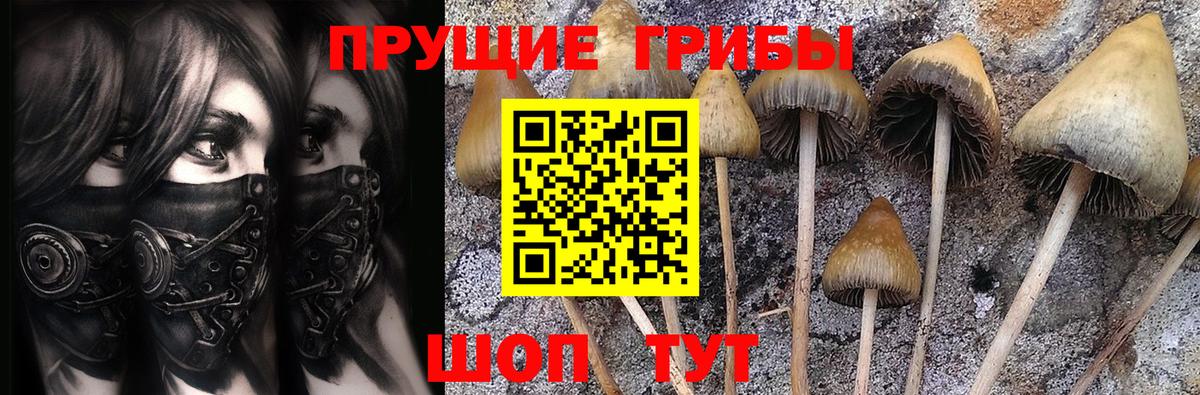 Канабис Изобильный