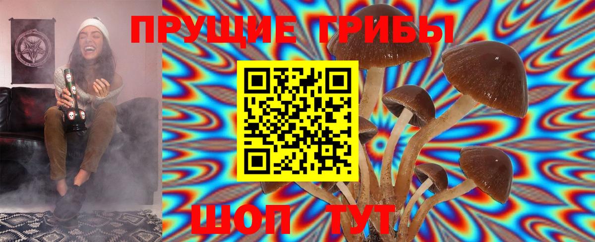 Псилоцибиновые грибы GOLDEN TEACHER Изобильный