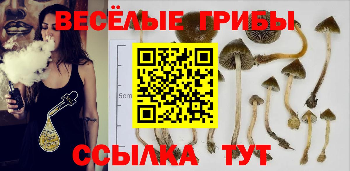 Галлюциногенные грибы Magic Shrooms  Вход с VPN  Изобильный  купить   Галлюциногенные грибы Magic Shrooms 