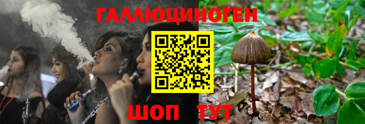 Галлюциногенные грибы Psilocybe Изобильный